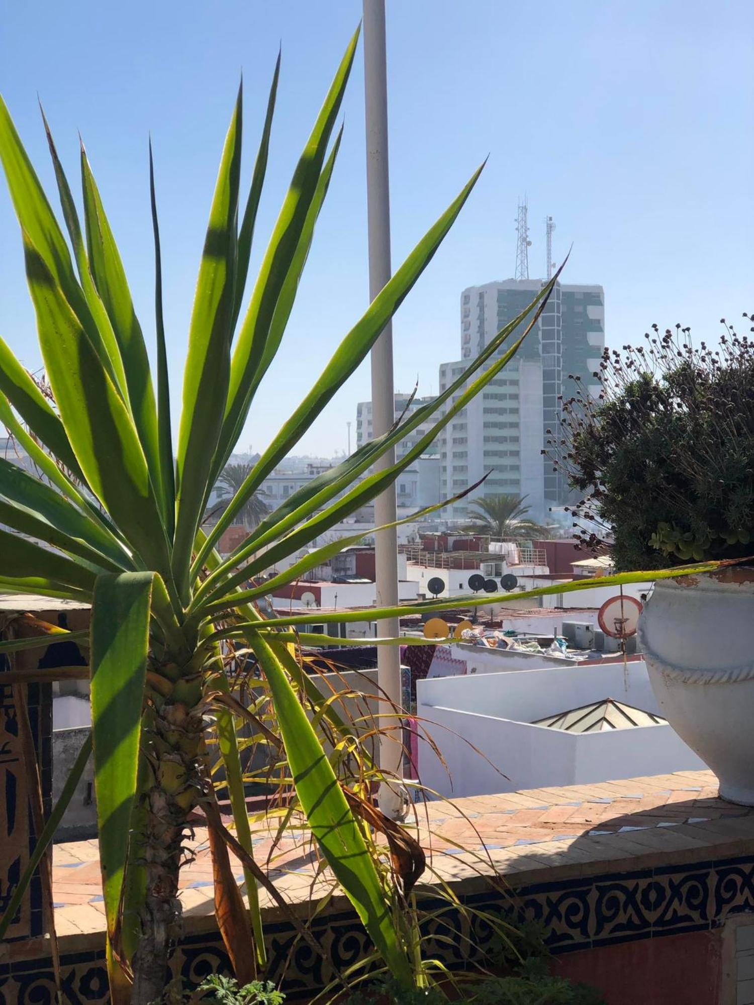 Riad Razoli Sidi Fateh ラバト エクステリア 写真